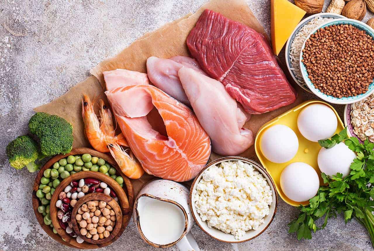 protein diet plan for weight loss