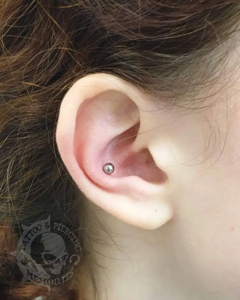 Hoops And Stud Single Conch Piercing