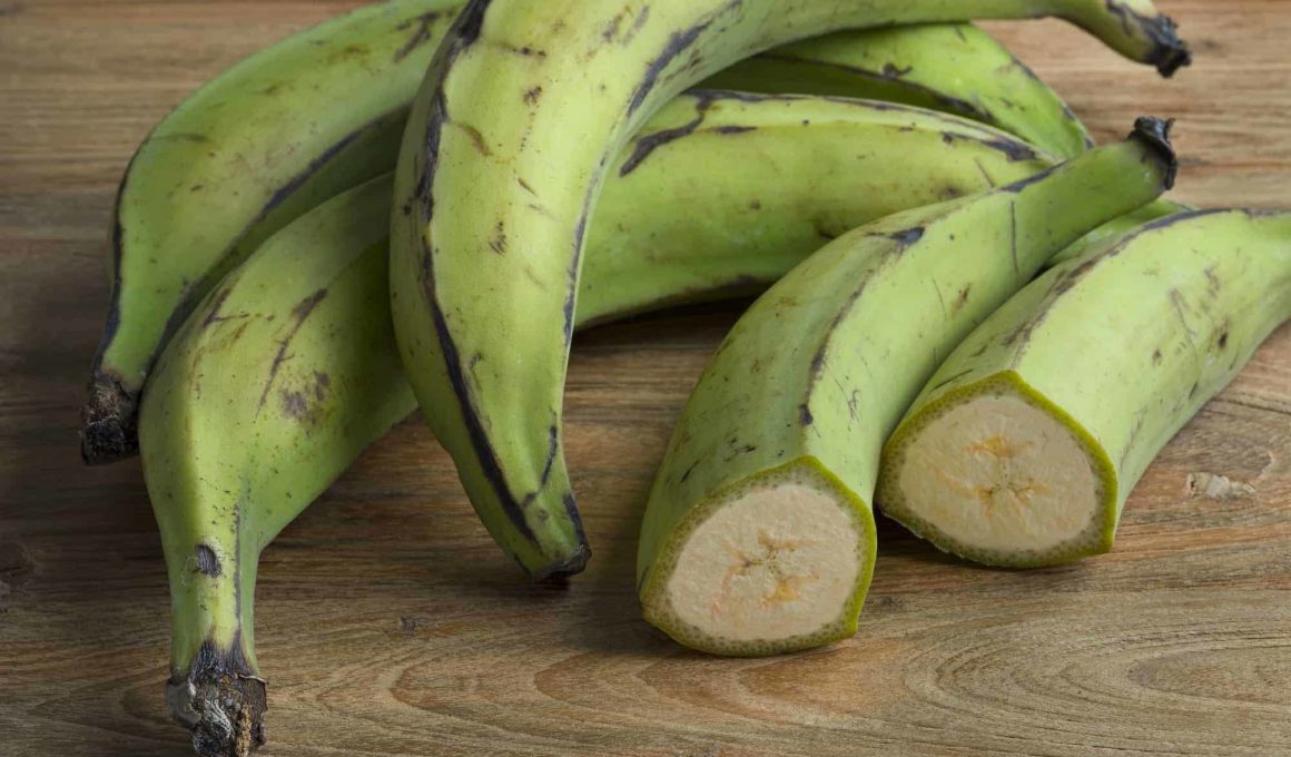 unripe plantain health benefits
