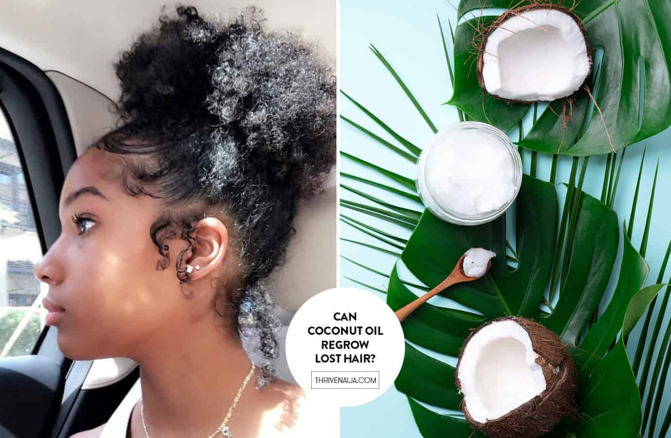 Can Coconut Oil Regrow Lost Hair? Come Find Out | ThriveNaija