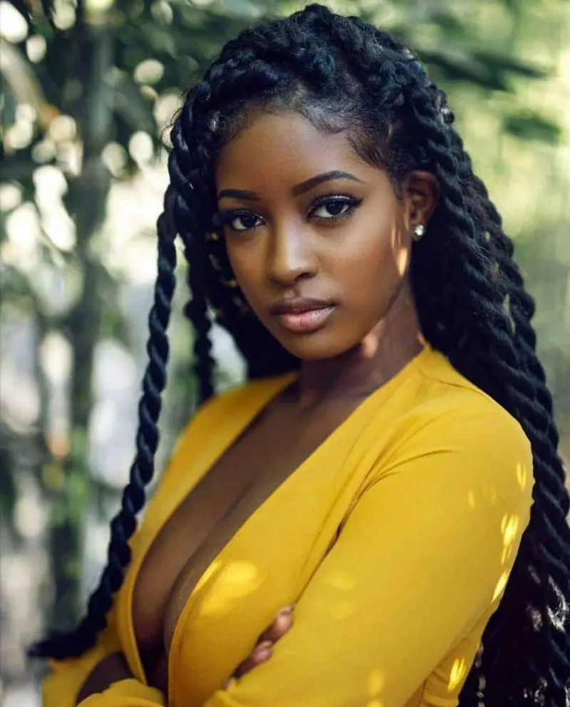 African braid hairstyle