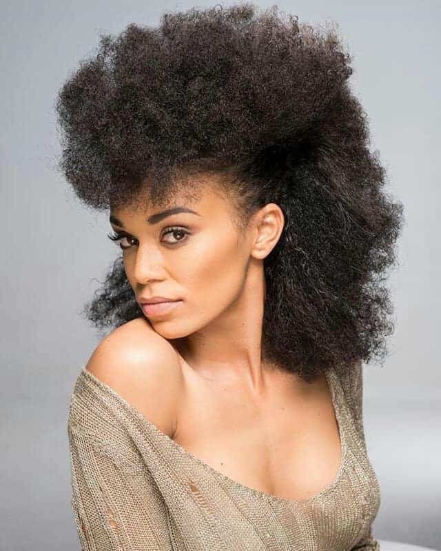 Natural hair hairstyle