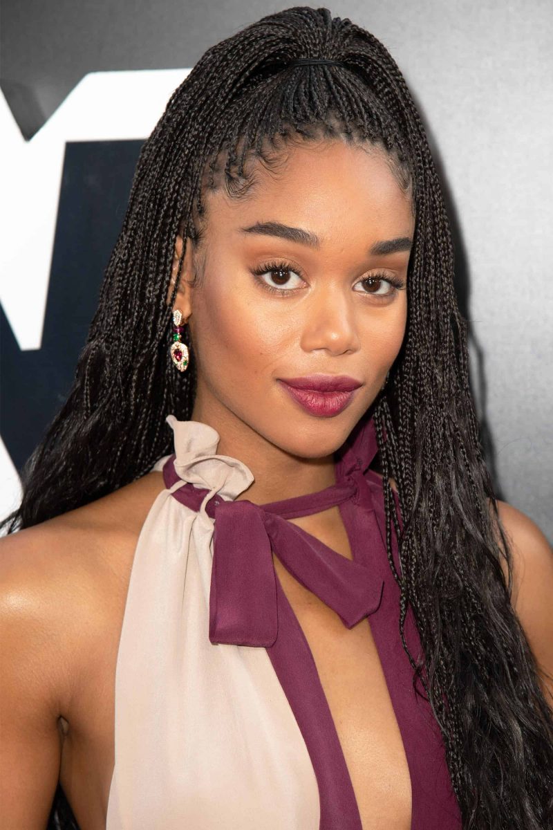 box braids for 2019