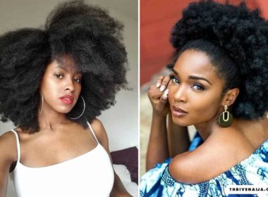 natural hair afro styles