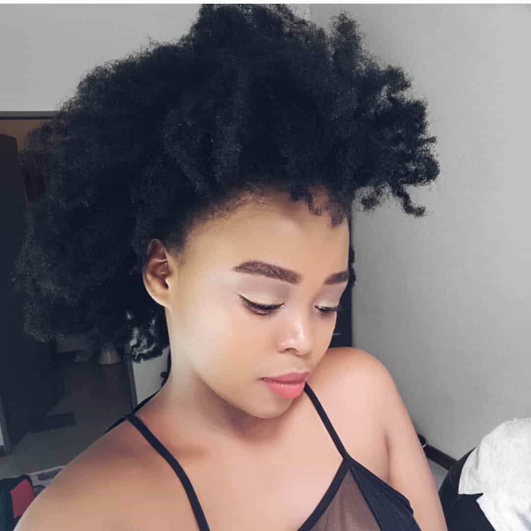 Afro natural hair hairstyle