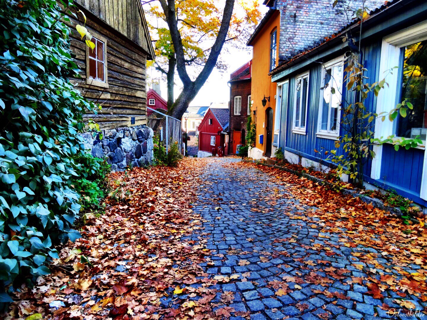 Damstredet, Oslo, Norge