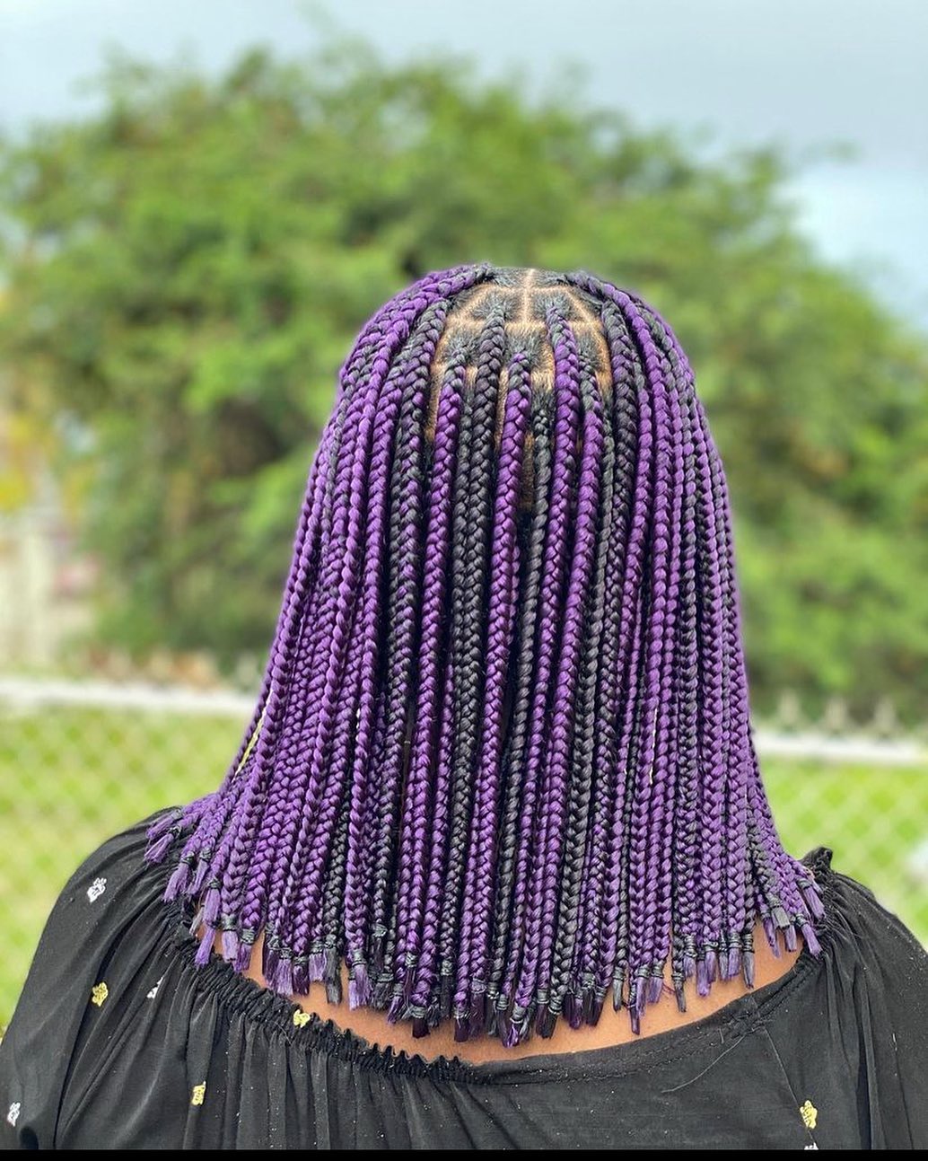 Short Purple Braids