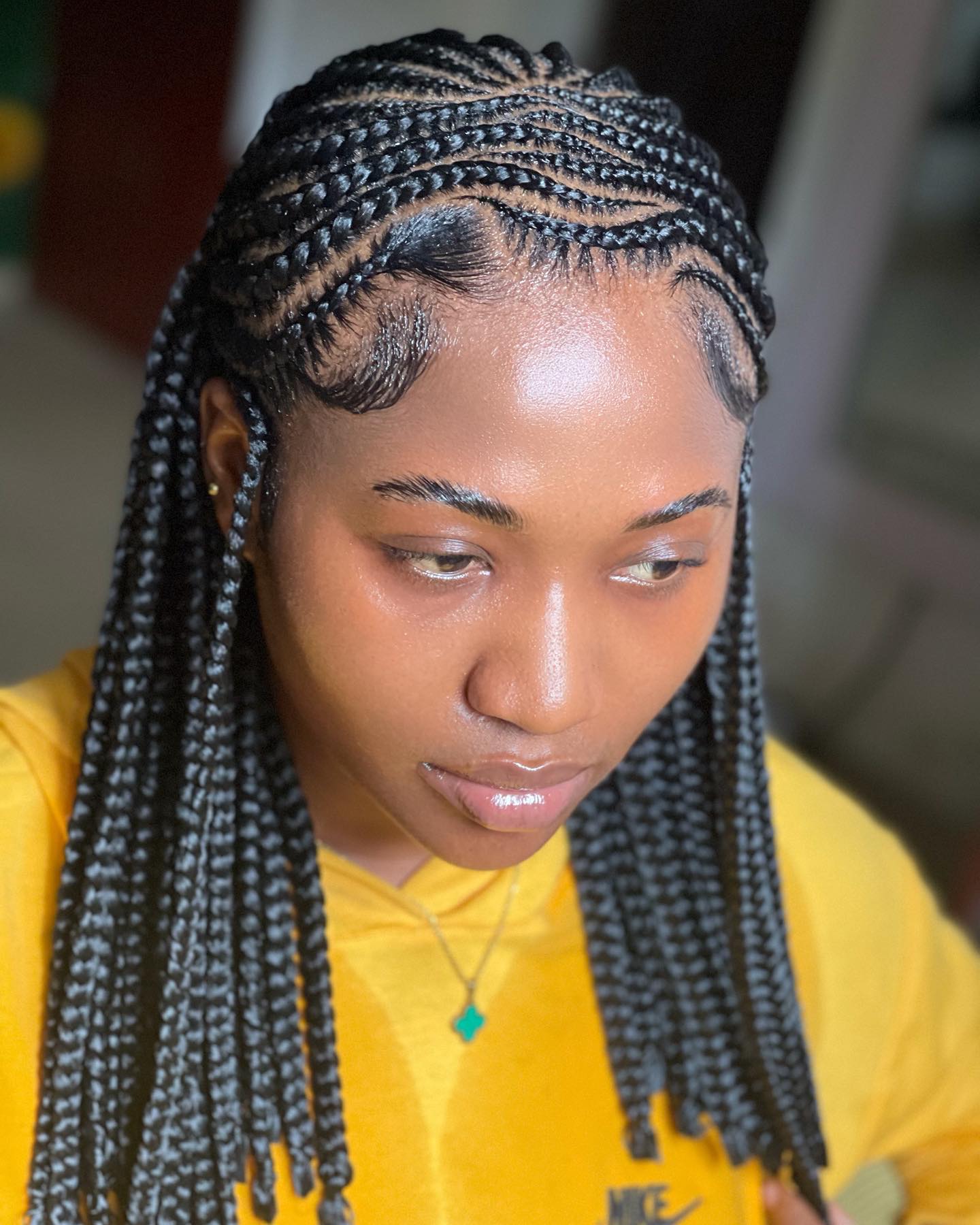 Stitch Feed-in Braids