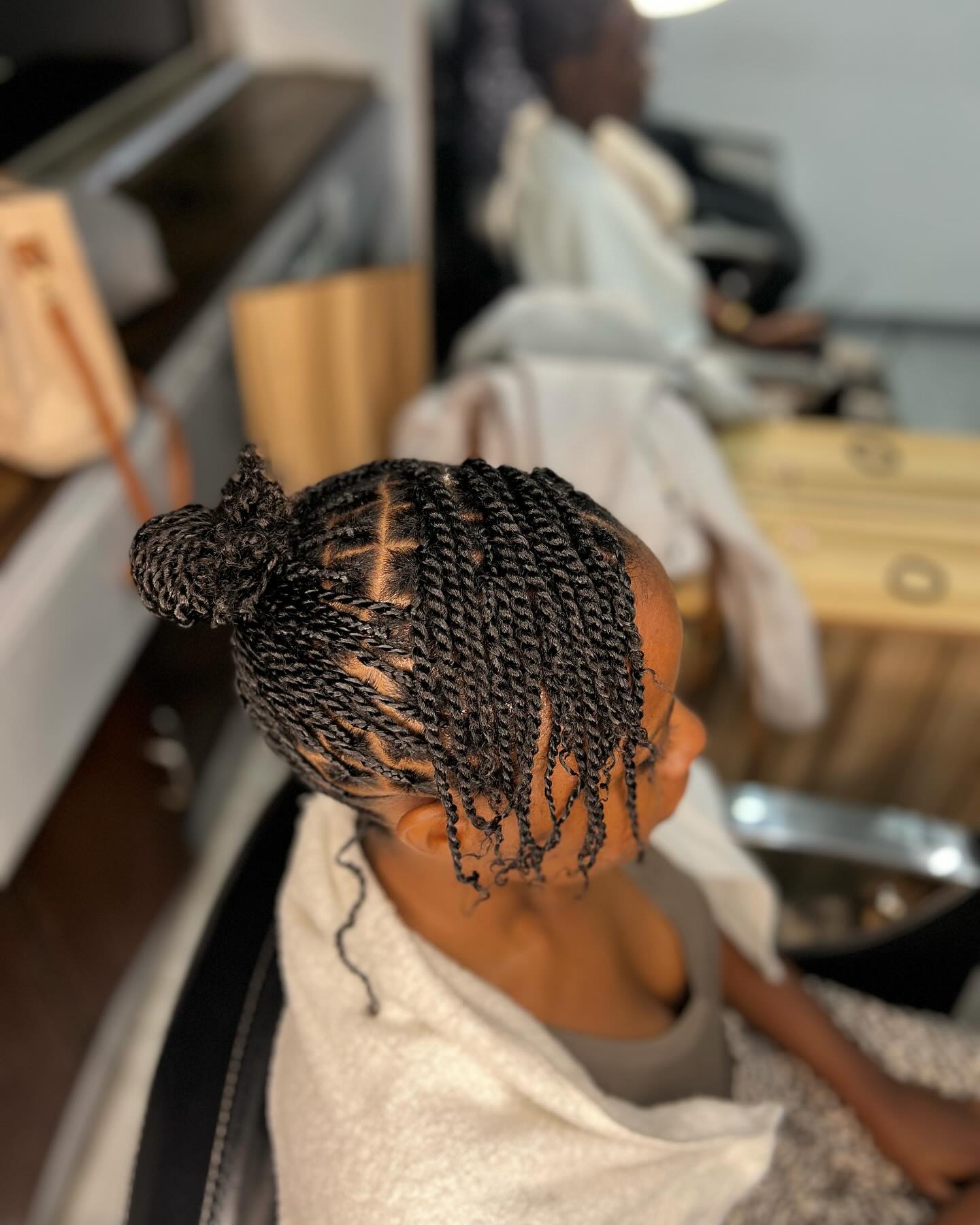 Mini Braided Twist Hairstyle