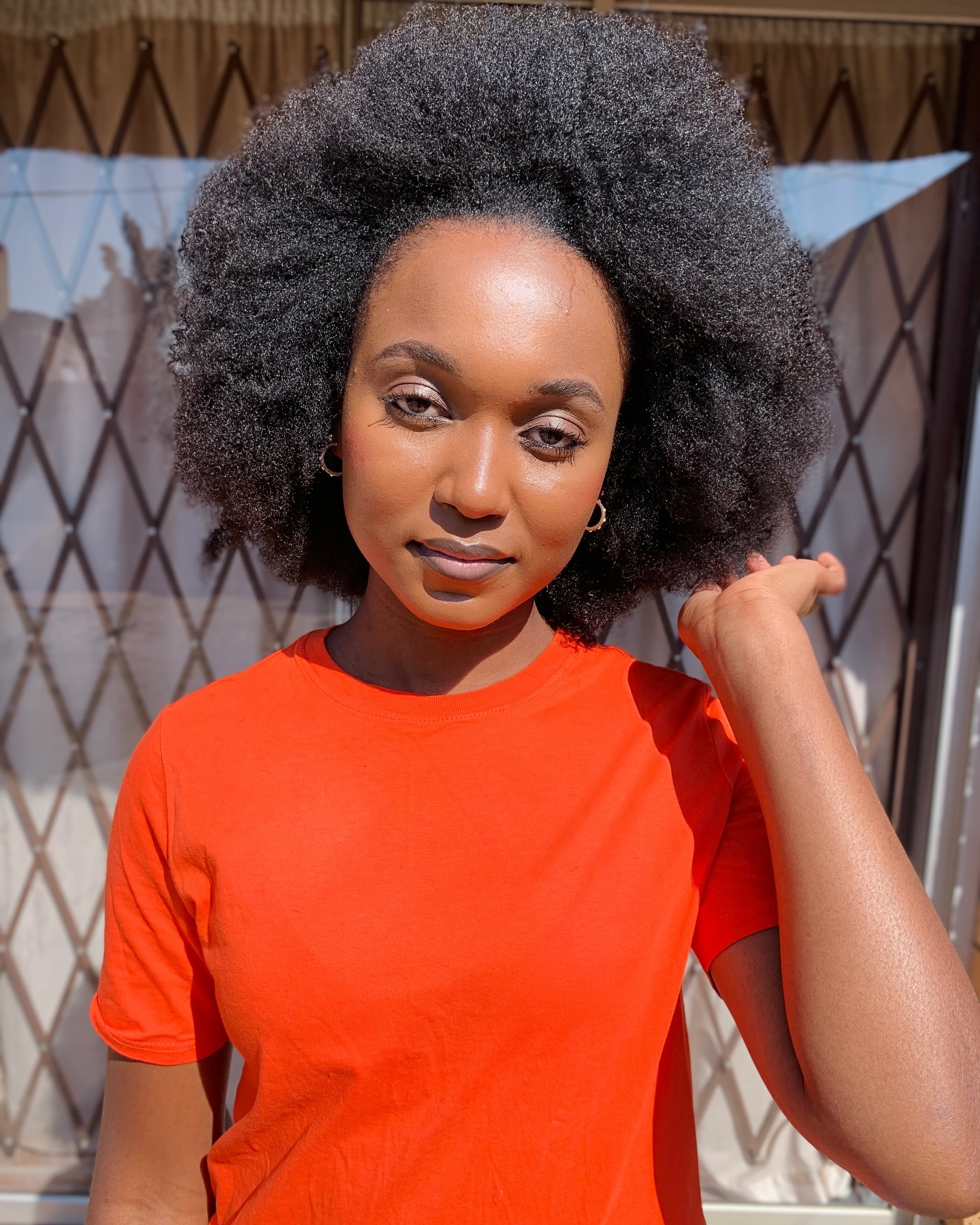 Simple Afro 4c Hairstyle