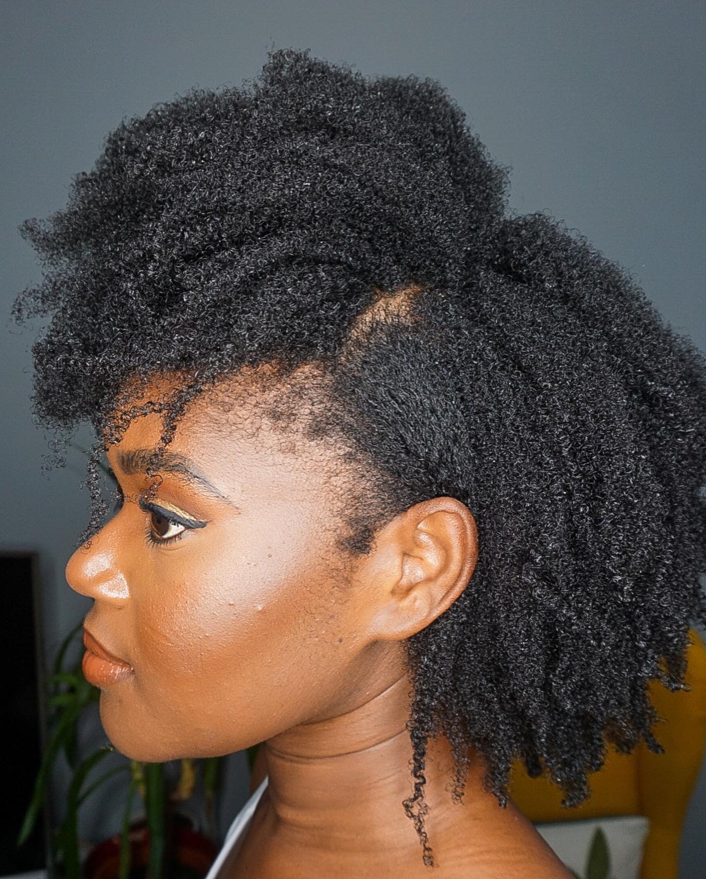 Wash and Go 4c Hairstyle