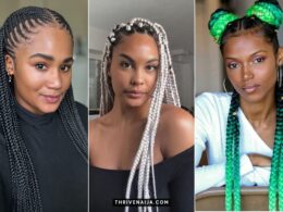 African Braids Hairstyles