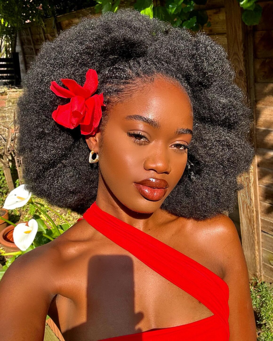 45 Natural Hair Afro Style Ideas (Updated) | ThriveNaija | Curly hair ... — image 3