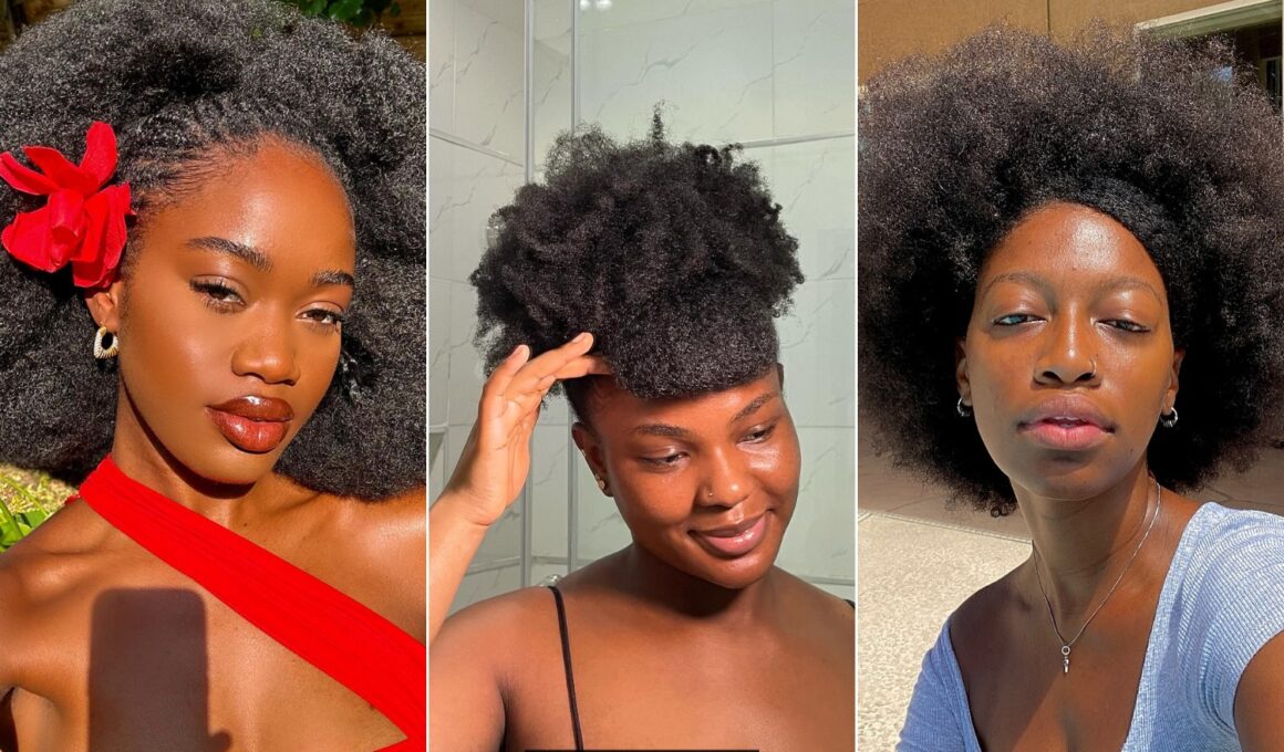 Afro Hairstyles For Natural Hair