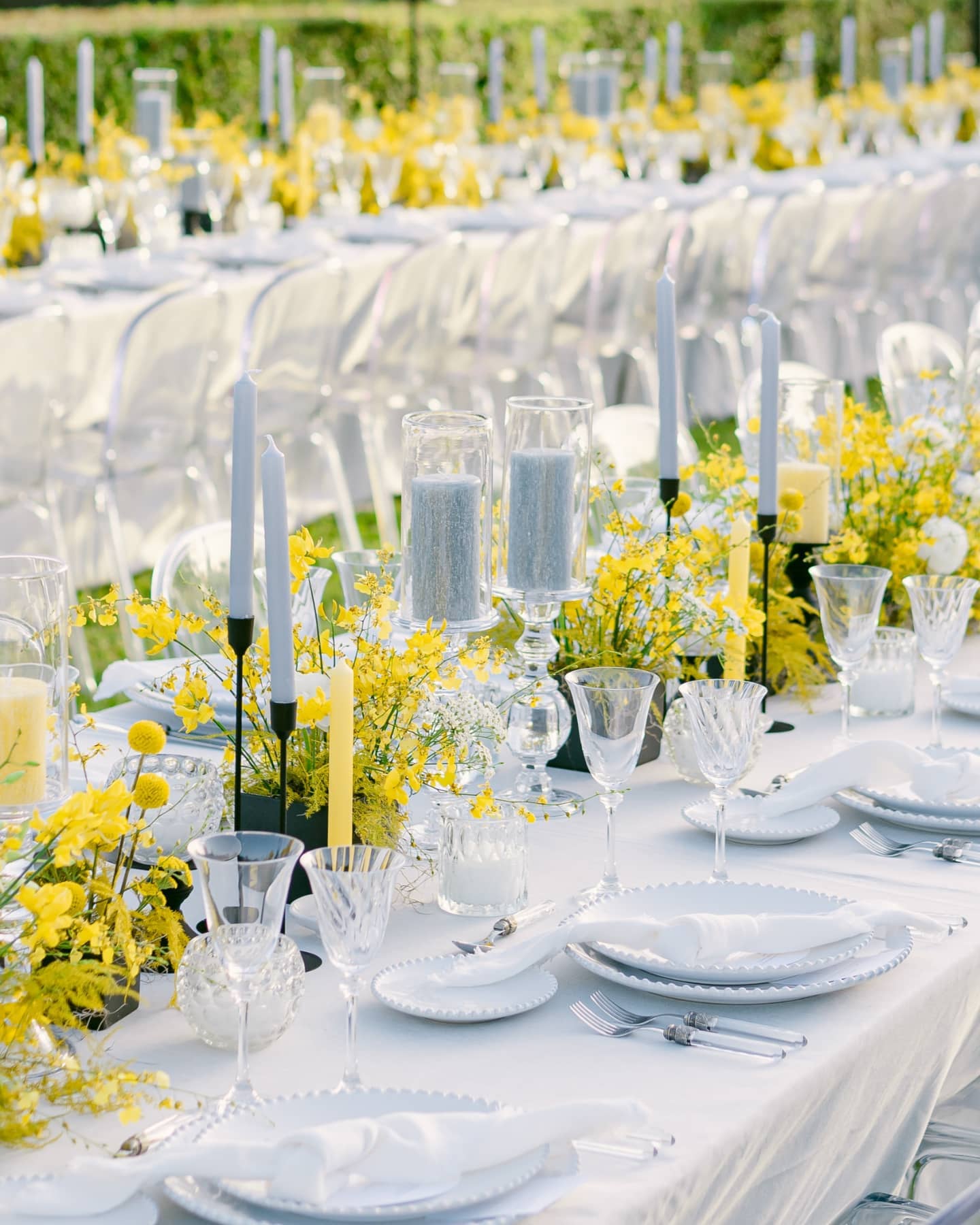 Yellow and Optic White Color Scheme