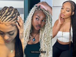 Winter Braids Ideas For Black Women