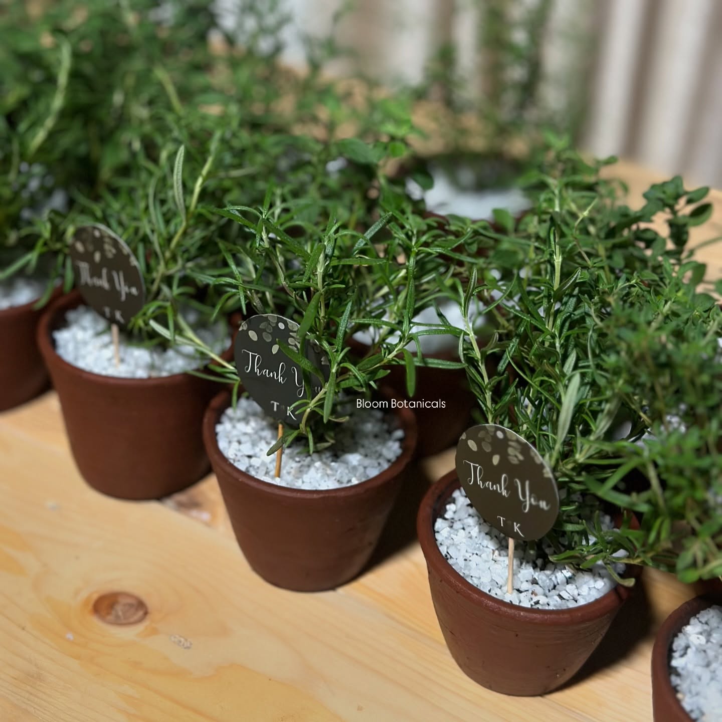 Fragrant Herb Favors