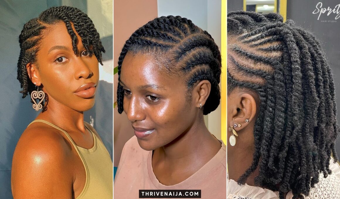 Flat Twist Hairstyle Ideas