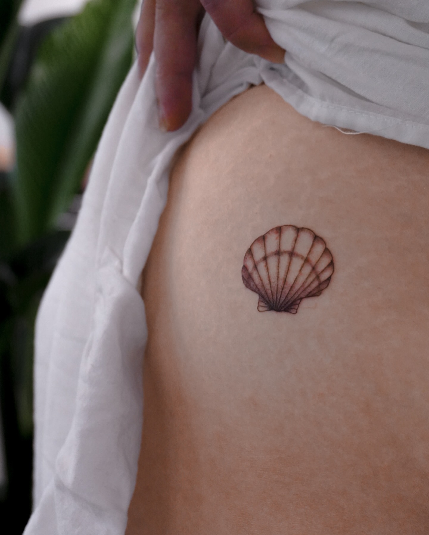 Small Dainty Shell Tattoo