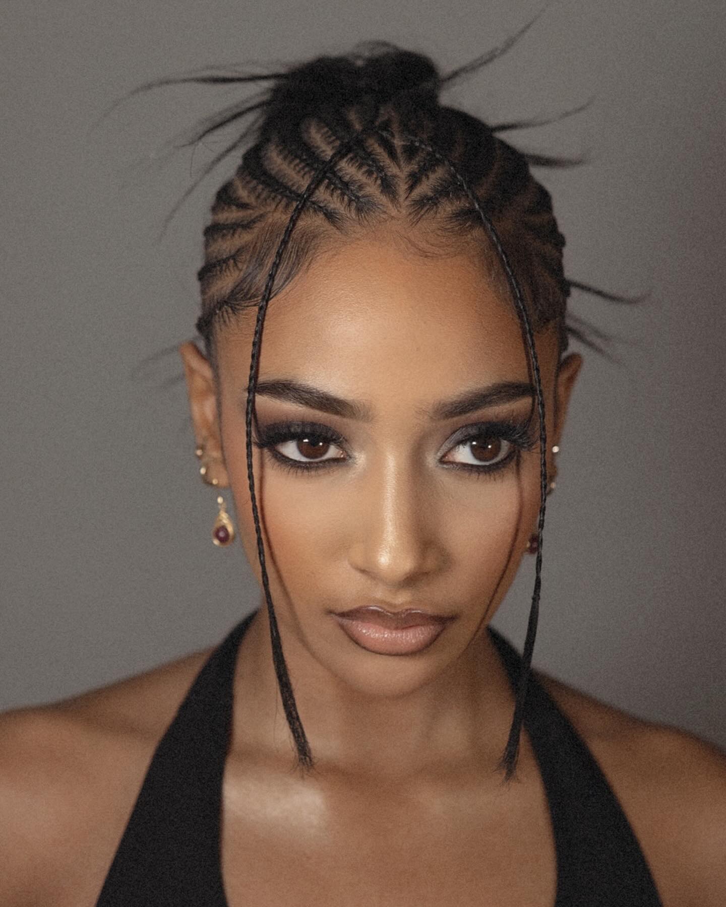 Elegant Braided Updo Hairstyle