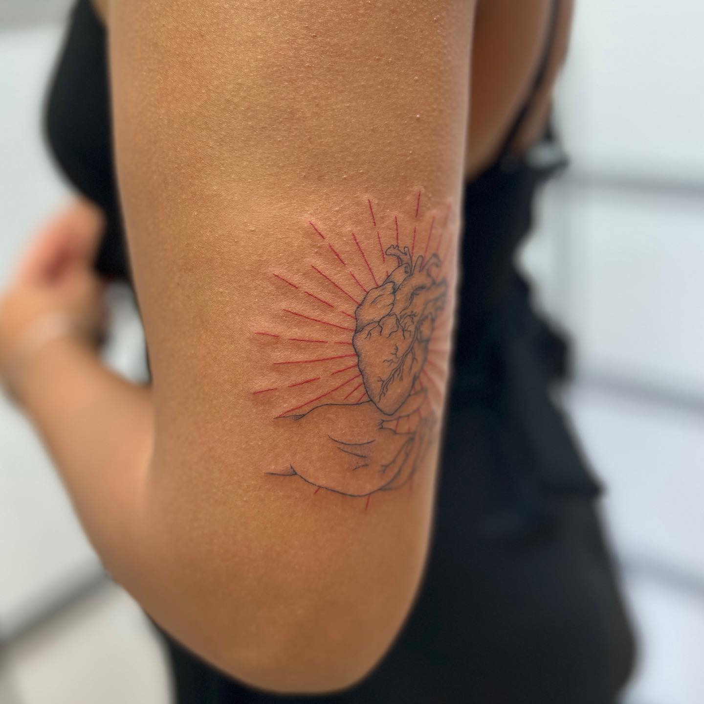 Hand Holding a Heart