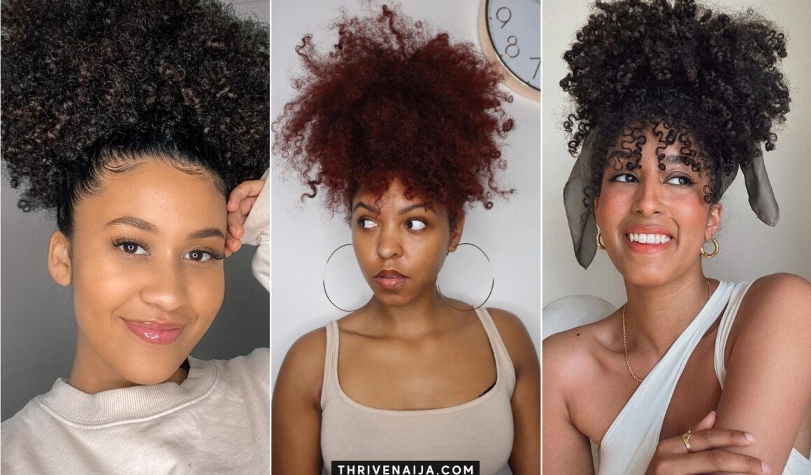 13 Pineapple Updo Hairstyles for Natural Hair