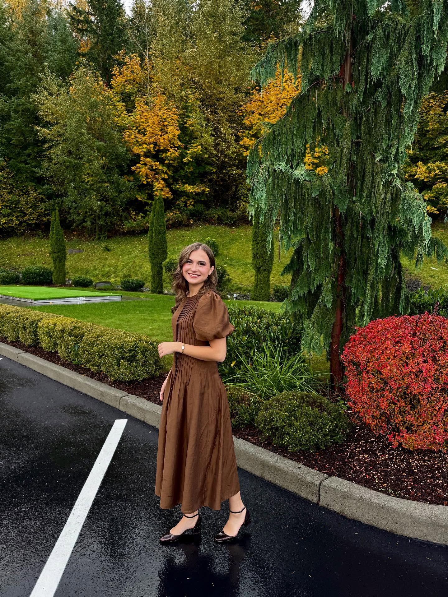 Classy Brown Midi Dress