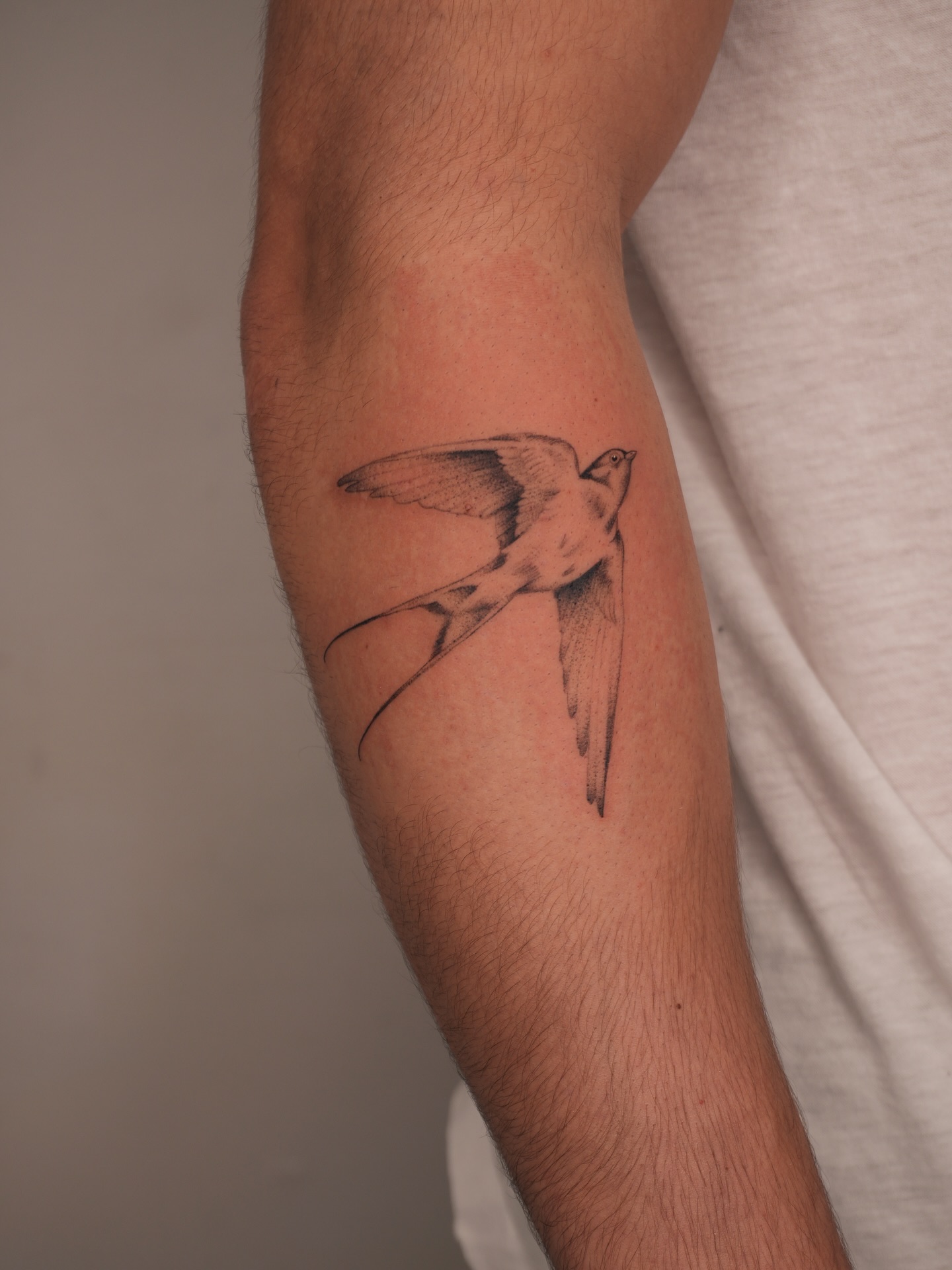 Flying Bird Tattoo