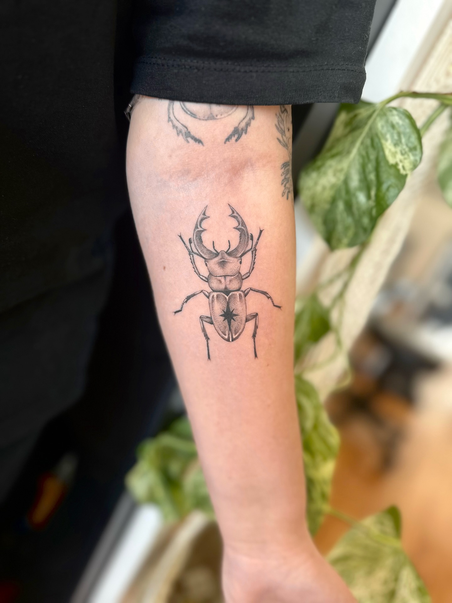 Stag Beetle Tattoo