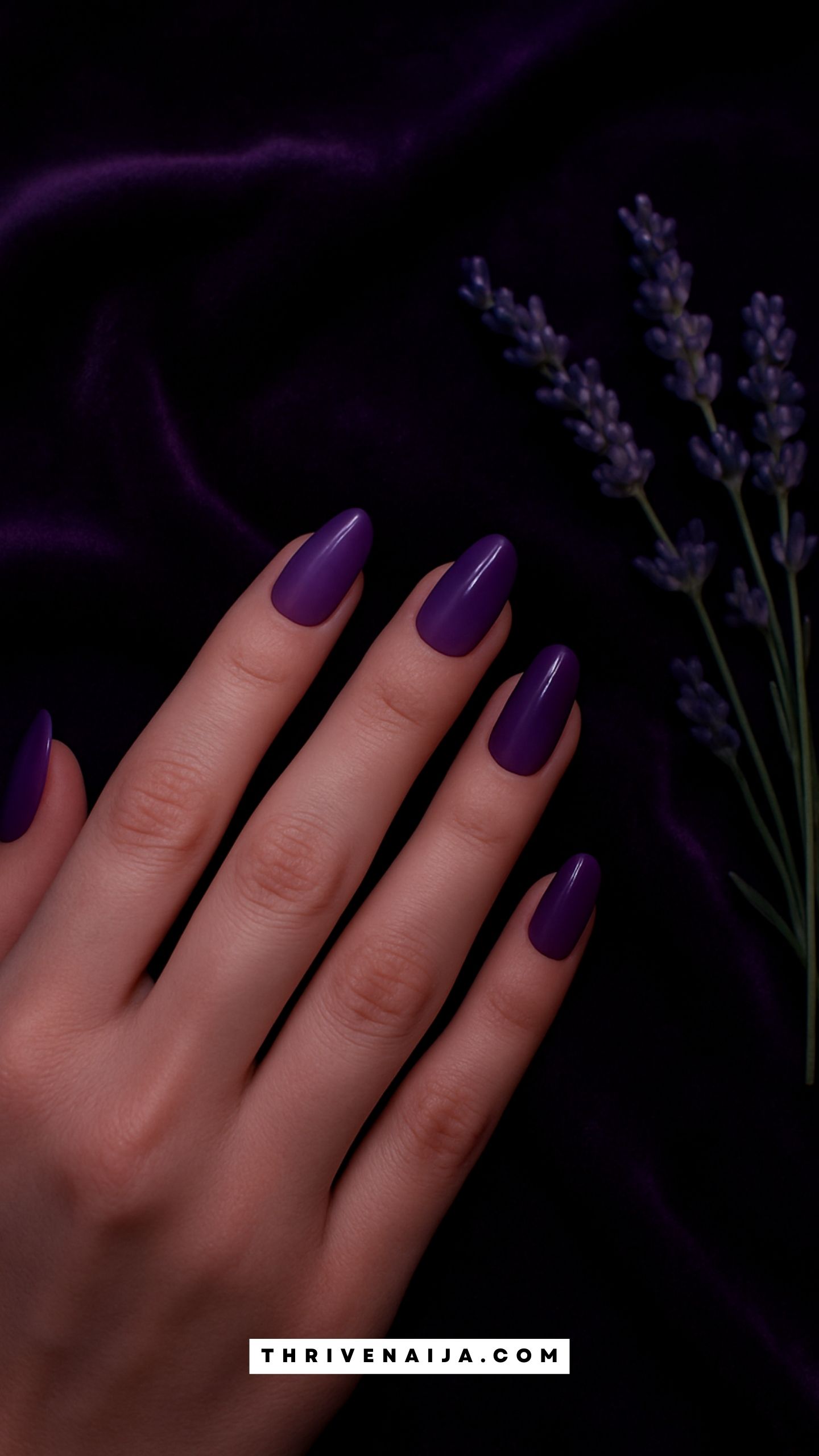 Purple Haze Ombre
