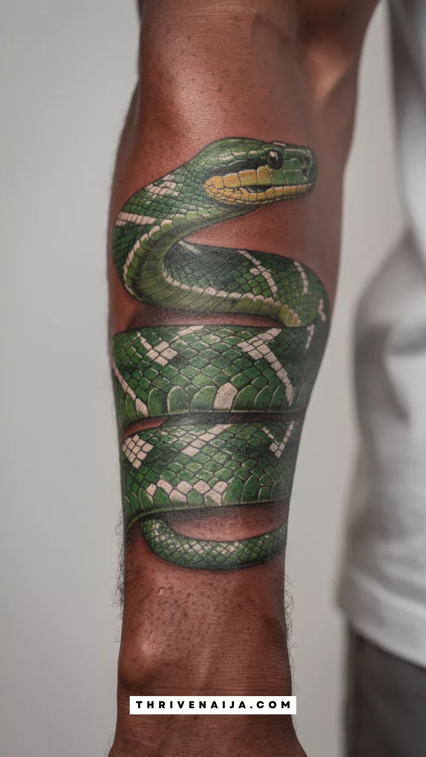 The Realistic Green Tree Python Wrap