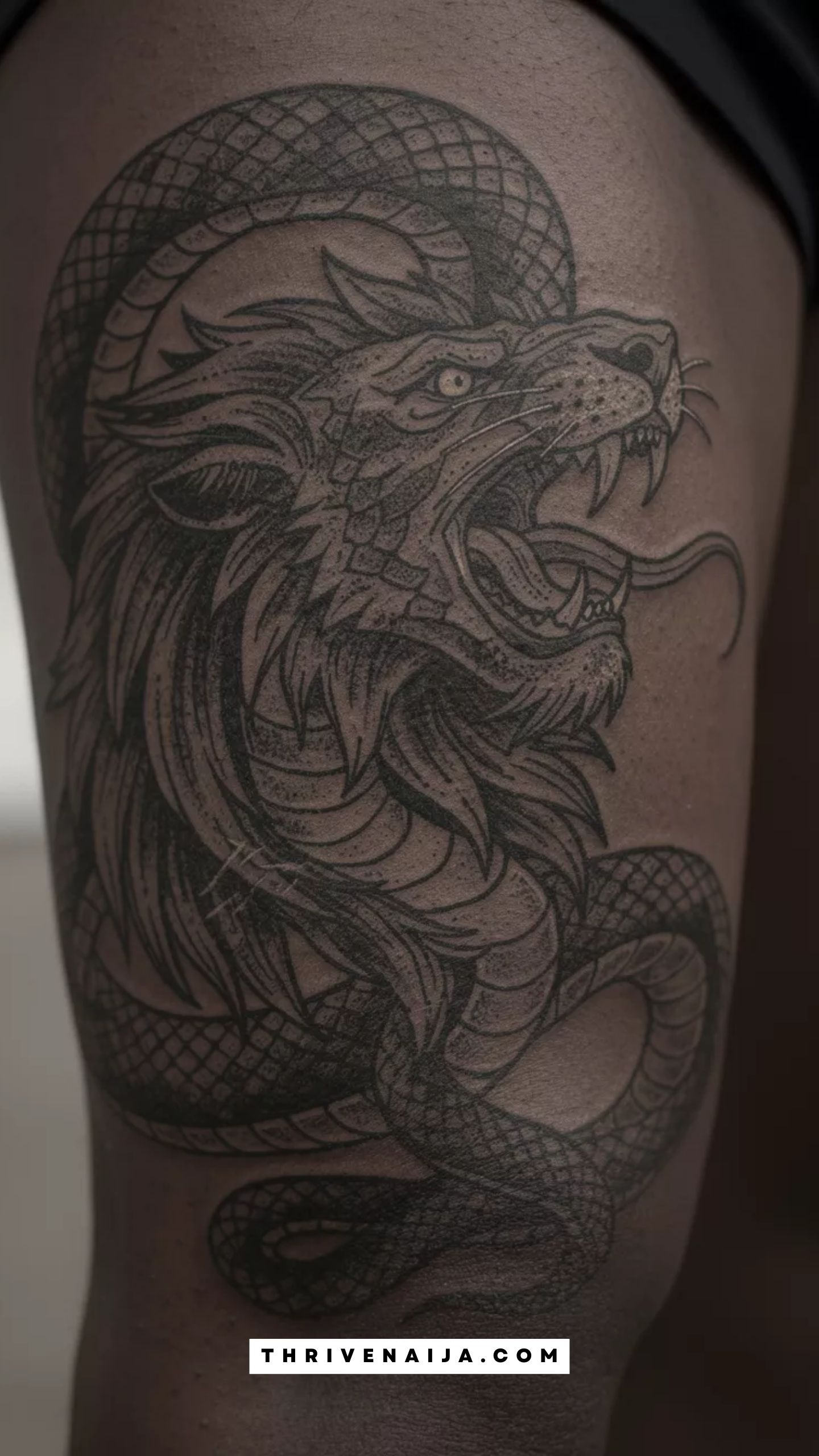 The Snake Consuming a Lion Head