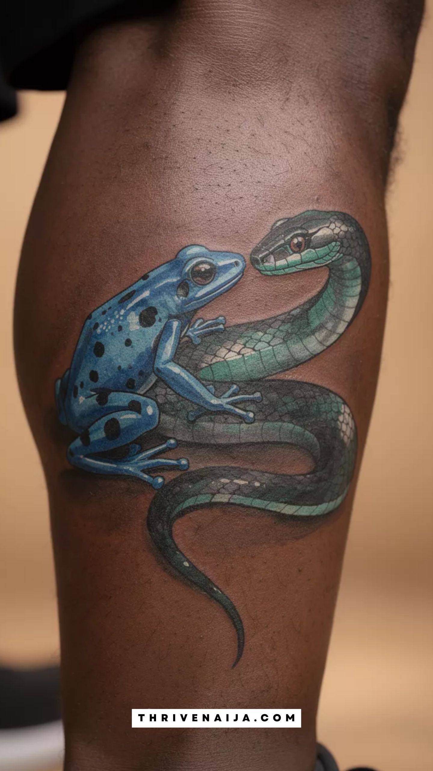 The Watercolor Poison Dart Frog & Snake