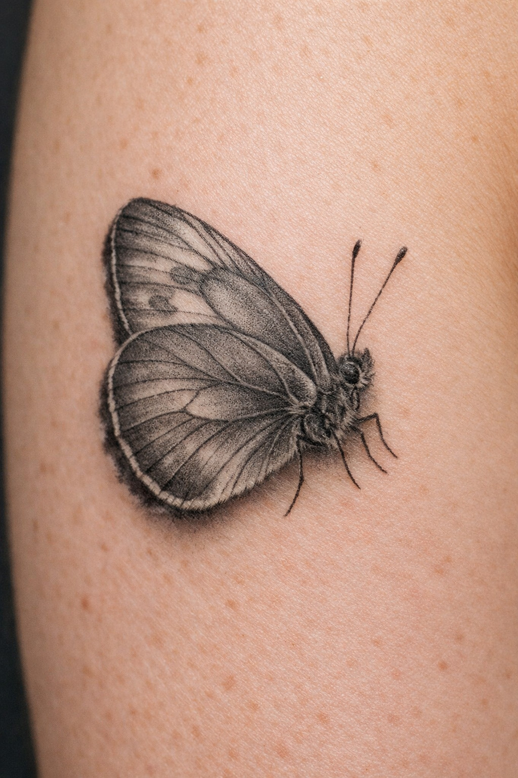 imported-image-1770129098