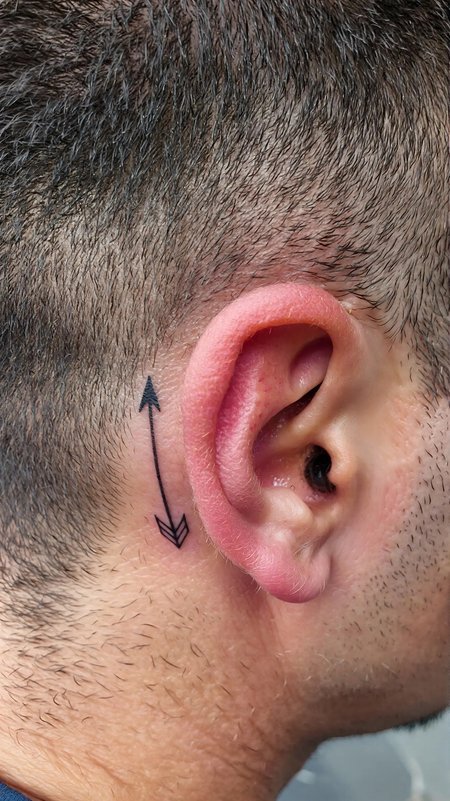 imported-image-1770137719