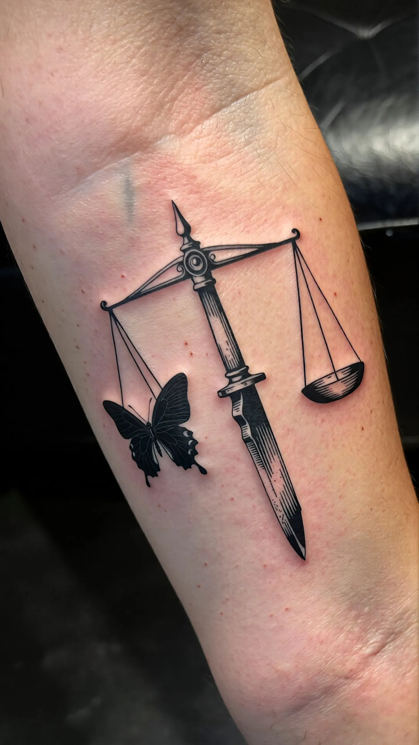 imported-image-1770646243