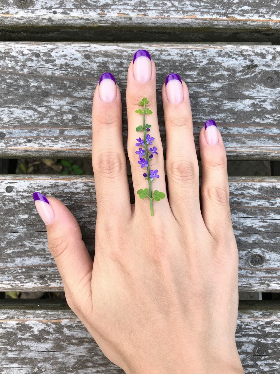 Side-angle, top-down view of hands with natural nails on a wooden garden table. The nails have a bold grape purple French tip. Delicate green vines with micro purple flowers grow from the tip down the nail bed. The look is playful and botanical.