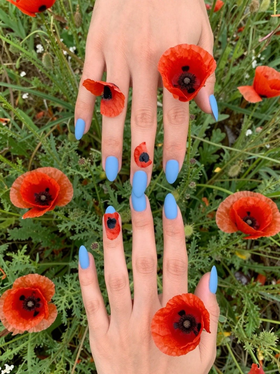 Overhead view of hands with almond nails posed over a real poppy field. The nails are a matte sky blue. Several large, painterly red poppies with black centers are scattered across each nail. The vibe is bold, artistic, and free.