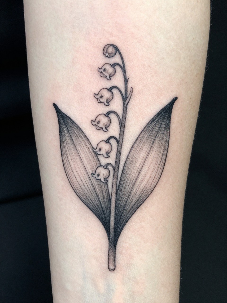 Spine close-up tattoo: a vertical line of tiny Lily of the Valley bells and delicate fern leaves. Extremely fine linework, with the small white flowers suggested by negative space and minimal shading."