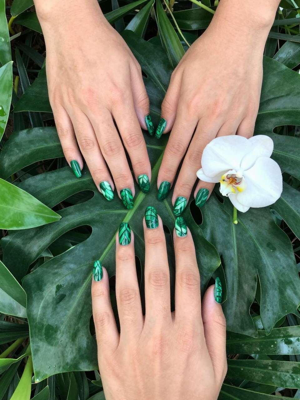 Bird's-eye view of hands with coffin nails, looking down into a dense green canopy. The nails are covered in different glossy green leaf patterns. On one ring finger, a detailed white orchid is partially hidden among the leaves. The vibe is tropical and lush.