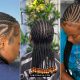 Beautiful Freehand Plaiting Natural Hair Ideas