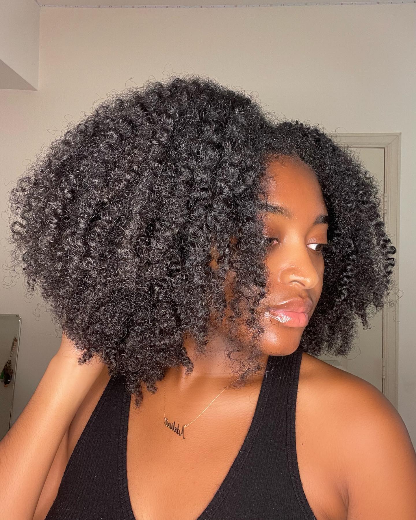 Thick Afro Twist out Hairstyle