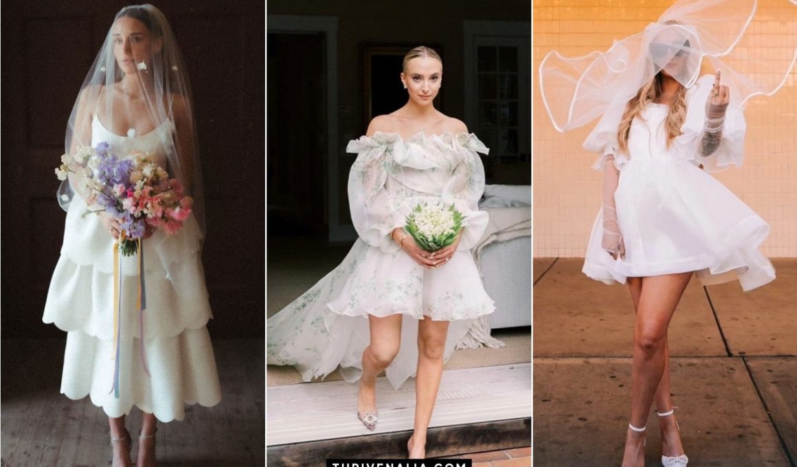 Amazing Short Wedding Dress Ideas