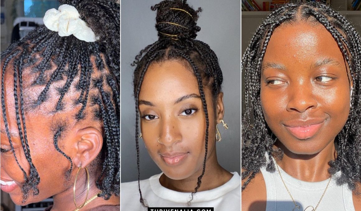 Cute Mini Braids on Natural Hair Ideas