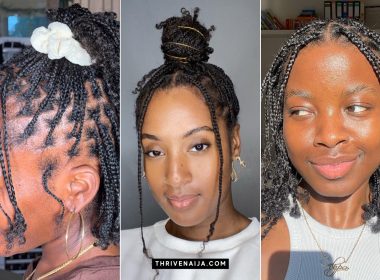 Cute Mini Braids on Natural Hair Ideas