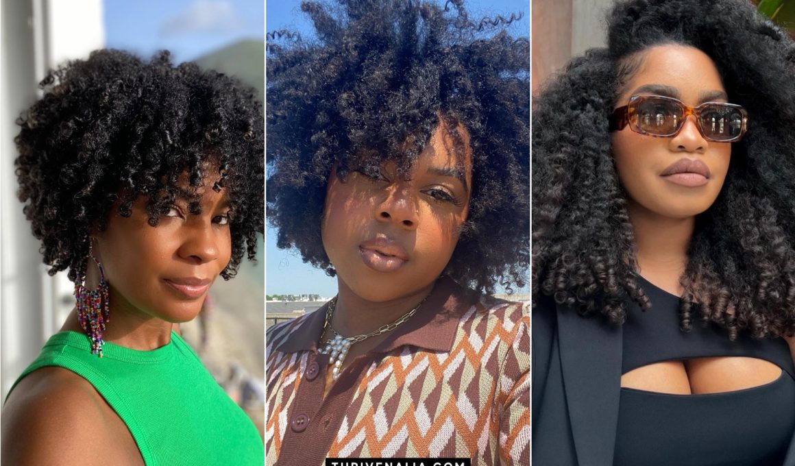 Cute Twist Out Ideas for Natural Hair