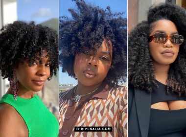 Cute Twist Out Ideas for Natural Hair