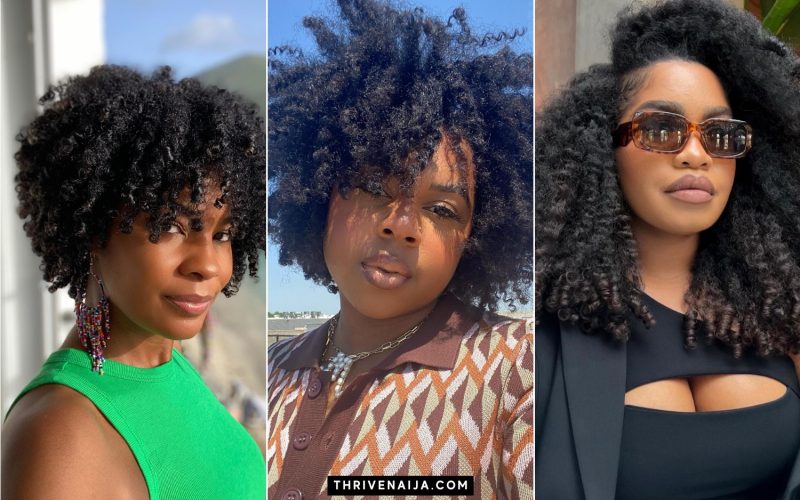 Cute Twist Out Ideas for Natural Hair