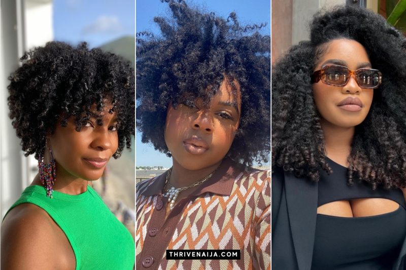 Cute Twist Out Ideas for Natural Hair