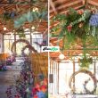 Exquisite Cabin Wedding Decor Ideas